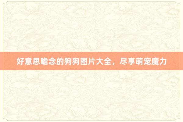 好意思瞻念的狗狗图片大全，尽享萌宠魔力